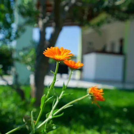 Villa Escape House By Guide *