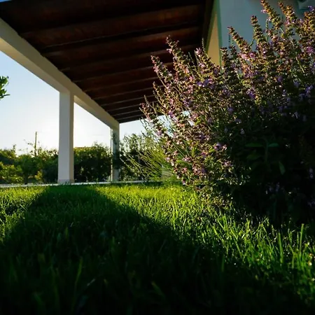 Escape House By Guide Vila